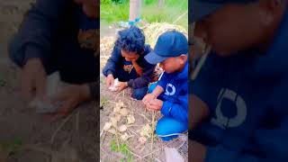 Alhamdulillah cair keseruan YouTube Banyuwangi#video#viral#shortvideo#shots