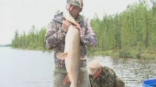 Russian president Vladimir Putin kisses giant fish: Putin catches 70 kilo pike!