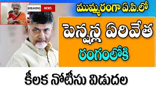 ఎన్టీఆర్ భరోసా పెన్షన్ల పున పరిశీలన ntr bharosa pension scheme verification.