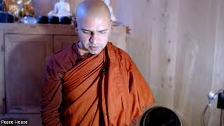 🌟16 Stages of Ānāpānasati Guided Meditation Live Stream 🌟