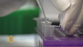 2024 National Forensic Science Week - YCSO DNA Lab