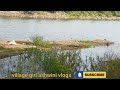 bethamangala palar dam water is flowing into the lake from above kolar kgf river