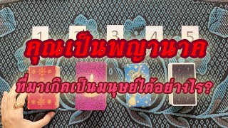 Pick a Card คุณเป็นพญานาคที่มาเกิดเป็นมนุษย์ได้อย่างไร?