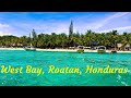 Roatan, Honduras, West Bay-Gorgeous blue water beaches, reefs, sunsets, snorkeling, parasailing!