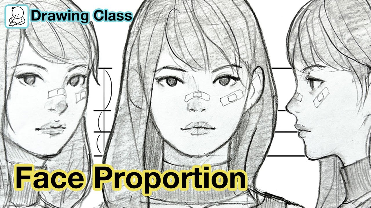 How To Draw Face - Face Proportions Drawing - YouTube