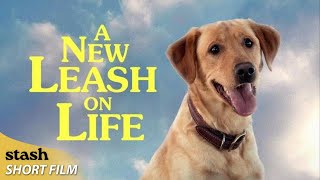 A New Leash on Life | Award Winning Comedy | Short Film | Magical Talking Dog