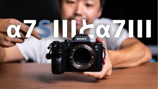 α7SIIIとα7IIIのスペックを比較しながらあなたに合ったカメラはどれか考えてみる