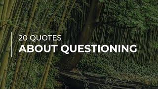 20 Quotes about Questioning | Daily Quotes | Most Popular Quotes | Inspirational Quotes