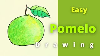 How to draw Pomelo // How to draw and colour Pomelo easily step by step for kids