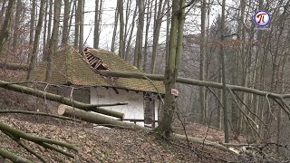 Uklanjanje palih stabala u Tršiću nakon obilnih snežnih padavina krajem prošle godine