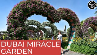 Dubai Miracle Garden: Inside the world's largest natural flower garden