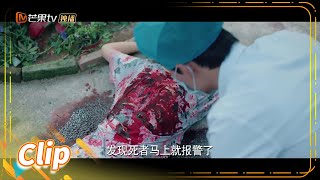 新案件！朱凤老师被害《法医秦明之无声的证词 Silent Evidence》【芒果TV青春剧场】