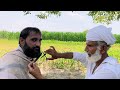 ASMR Fast Beard Cutting With  Old Barber[Hasni ASMR]