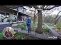 Dry Creek Hillside Design: Clay Soil and Shade | Central Texas Gardener