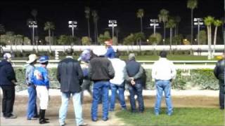 2012 Winter Championship at Los Alamitos- El Aguila Real