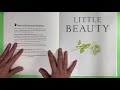 little beauty by anthony browne