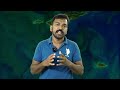 the reason behind earth color is blue explained in malayalam