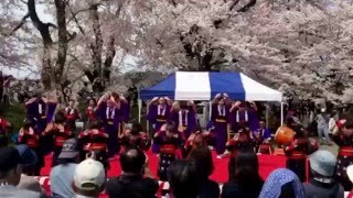 2016/4/23 角館町☆観桜会…❹おいとこ