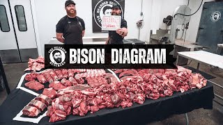 A Visual Guide to the Cuts of Bison: Where Every Cut of Buffalo Comes From | By The Bearded Butchers