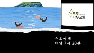 포도나무교회 수요예배 250108