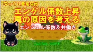 ケロとクロのエンゲル係数上昇とその原因（●●税と共働きとエンジェル係数）