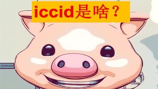 【iccid】美版有锁机中激活所说的iccid iccid 到底是啥，看完你就懂了！