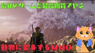 【スローンアンドリバティ】最新MMORPGやるぞー参加者募集【５０ｌｖダンジョンいく】