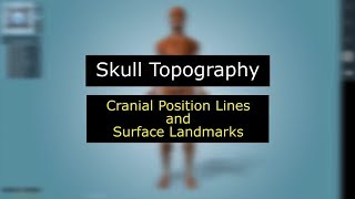 Skull Topography / Cranial Positioning Lines and Surface Landmarks