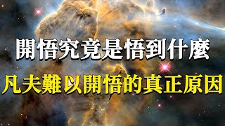 如何才能清晰地表達開悟的狀態？普通人難以開悟的真正原因是沒看到這一點：若要人不死，除非死個人！#能量#業力 #宇宙 #精神 #提升 #靈魂 #財富 #認知覺醒 #修行