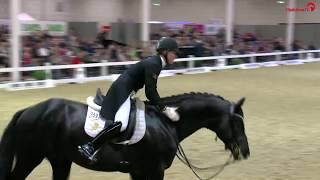 Morricones Debüt: St. Georg Special, Youngster Tour K+K-Cup Münster, Lena Waldmann, Ergebnis71,992%