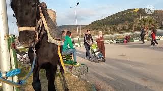 Tlemcen جولة في مدينة تلمسان