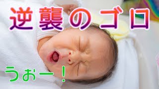 【生後2日】ハプニング発生！パパ初めてのオムツ交換で悲劇が・・・ Happening! Tragedy happens with Dad's first diaper change. [Day 2]