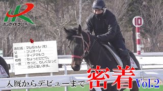 【ホッカイドウ競馬】入厩からデビューまで密着Vol.2～あだ名はマルちゃん～