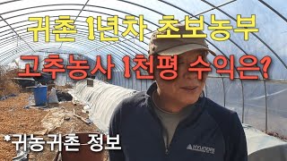 귀농귀촌 1년차 고추농사 수익공개!  #은행으로 고추탄저병 치료제 만들기 #친환경 무농약 천연 살충제 만들기