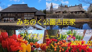 みちのく公園　古民家　アイスチューリップ🌷　2024.2.12