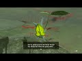 Tears of the Kingdom - Reward for All Korok Seeds