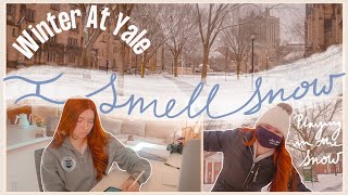 I Smell Snow | A Week In My Life As a Yale History PhD Student and Entrepreneur | Gilmore Girls Yale