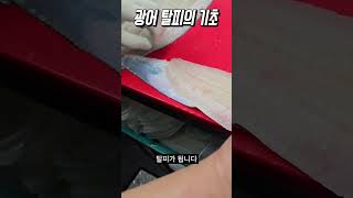 광어 탈피의 기초