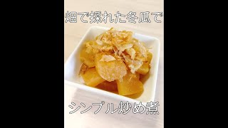 畑で採れた冬瓜のシンプル炒め煮