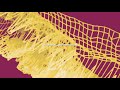 Architect - Deconvolution