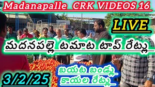 3/1/25 madanapalle Tomato market price today 🍅 మదనపల్లె టమోటారేట్లు #crkvideos16 #todaytomatorate