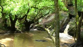 Chilanthiyar waterfalls ! Vattavada