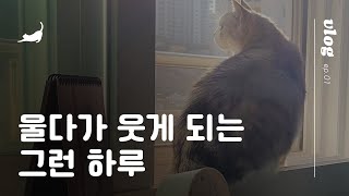 행복은 번개처럼 내리꽃히는 것