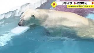 「涼しくなーれ！」ホッキョクグマに氷のプレゼント　鹿児島市・平川動物公園 (23/07/17 20:18)