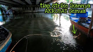 Mancing di Spot Bawah Jembatan Bandara