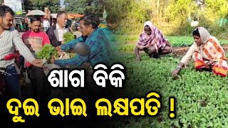 ଶାଗ ବିକି ଦୁଇ ଭାଇ ଲକ୍ଷପତି ! | Odisha Reporter