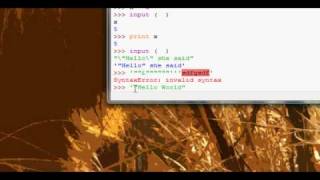 Python Tutorial #4 - Input - Part 2