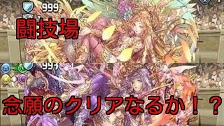 【パズドラ】闘技場初クリアなるか！？