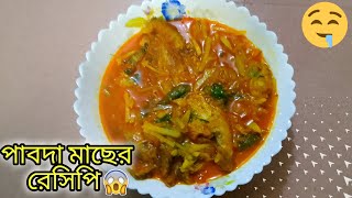 পাবদা মাছের রেসিপি।পাবদা মাছ ভুনা💯pabda macher recipe🤤pabda fish curry। Nurain Diary💯bengali recipe