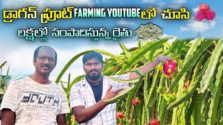 Dragon fruit farming In Telugu //  లక్షలో సంపాదిస్తున్న రైతు // Dragon Fruit సాగు ఎలా చెయ్యాలో ?